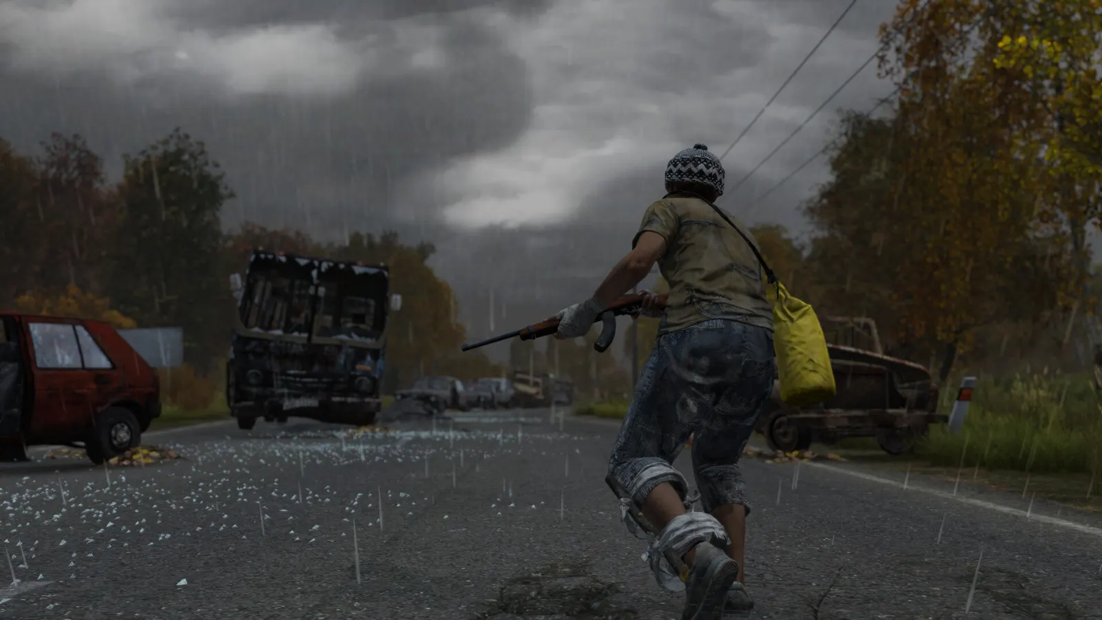 DayZ media 2