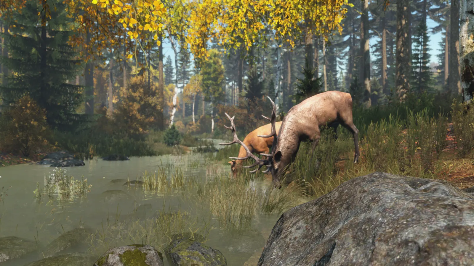 DayZ media 7