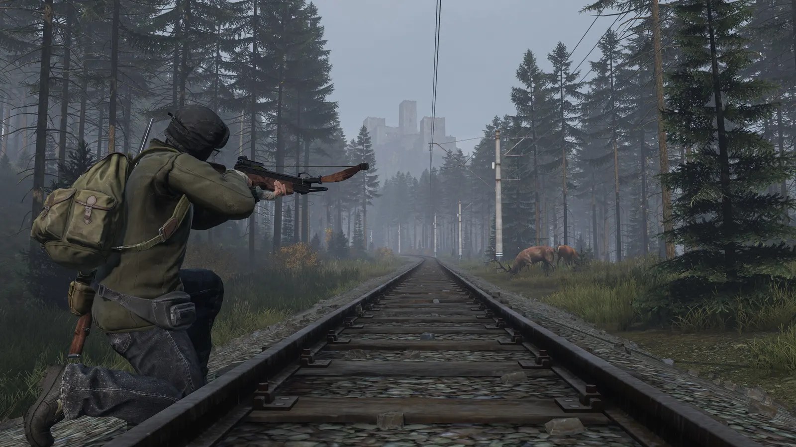 DayZ media 18