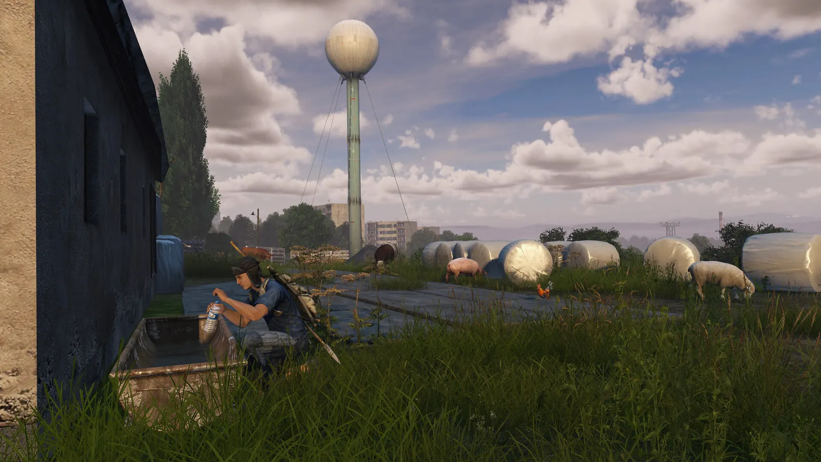 DayZ media 22