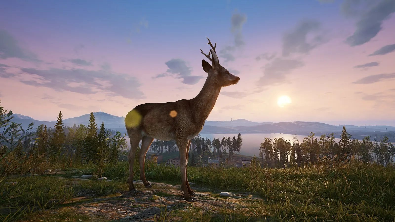 Deadside media 18