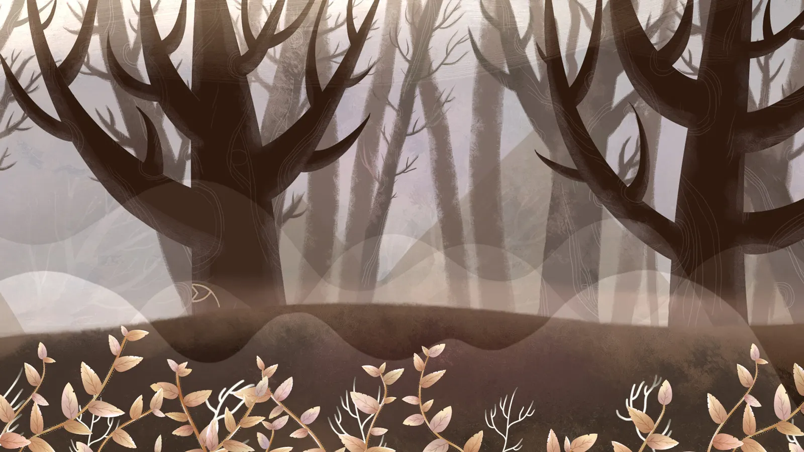 Deep in the Woods media 10
