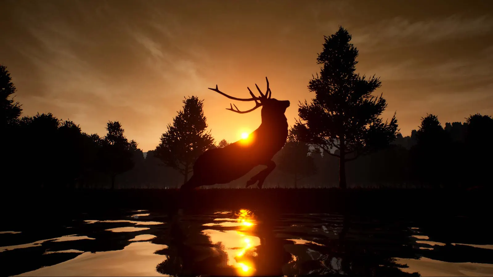Deer Journey media 2
