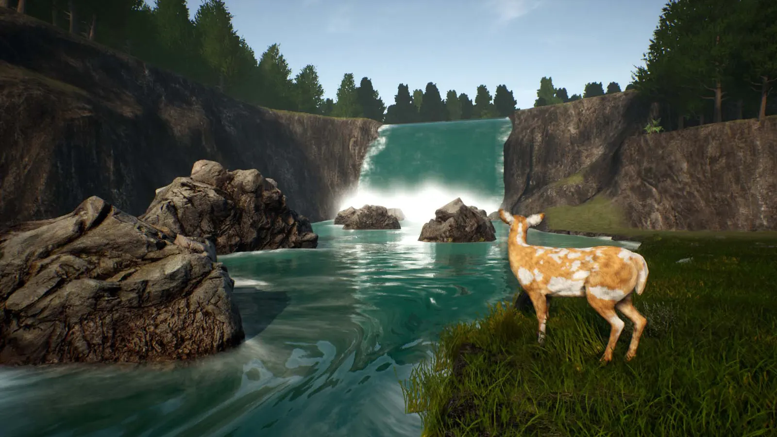 Deer Journey media 5
