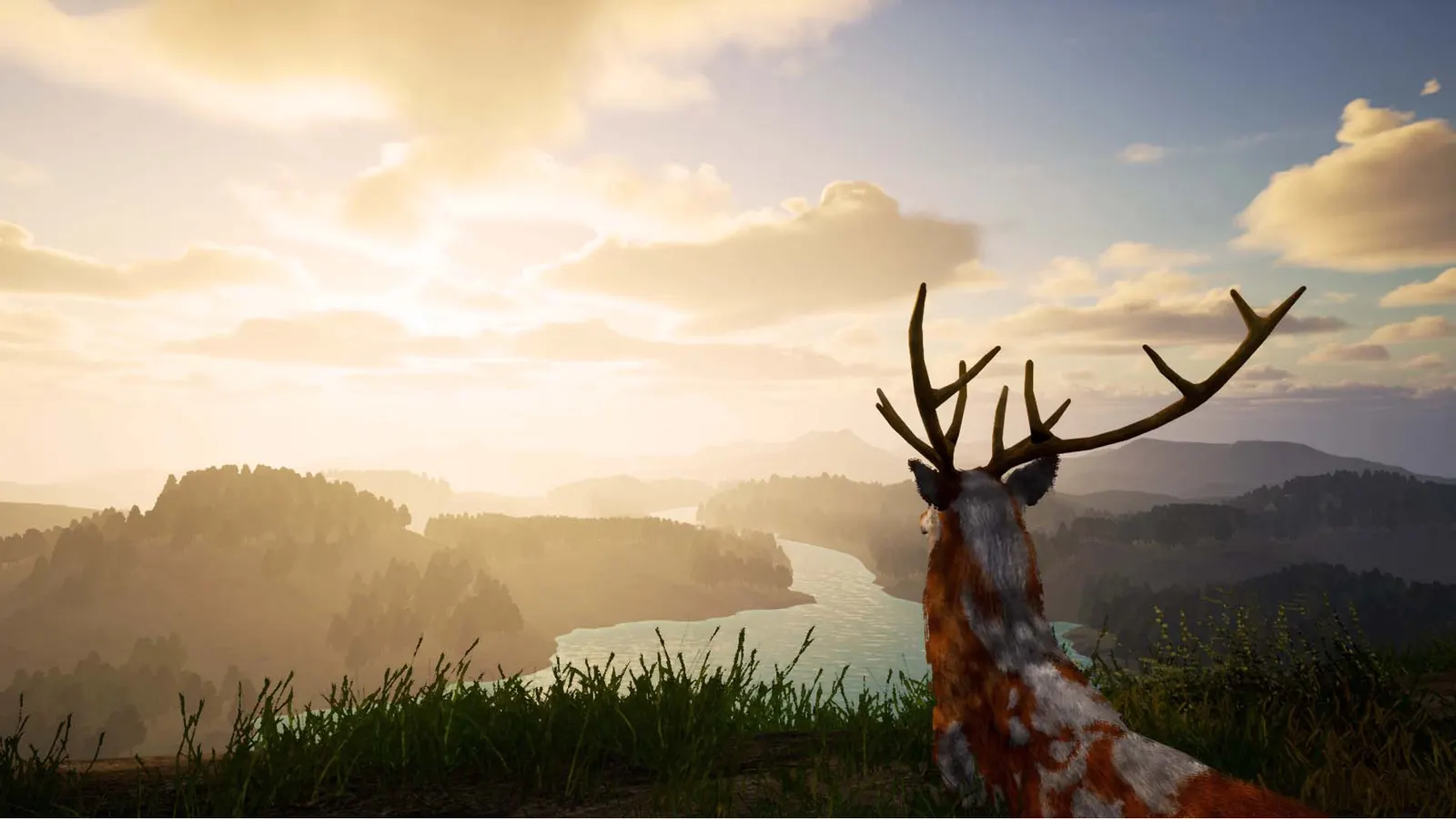 Deer Journey media 7