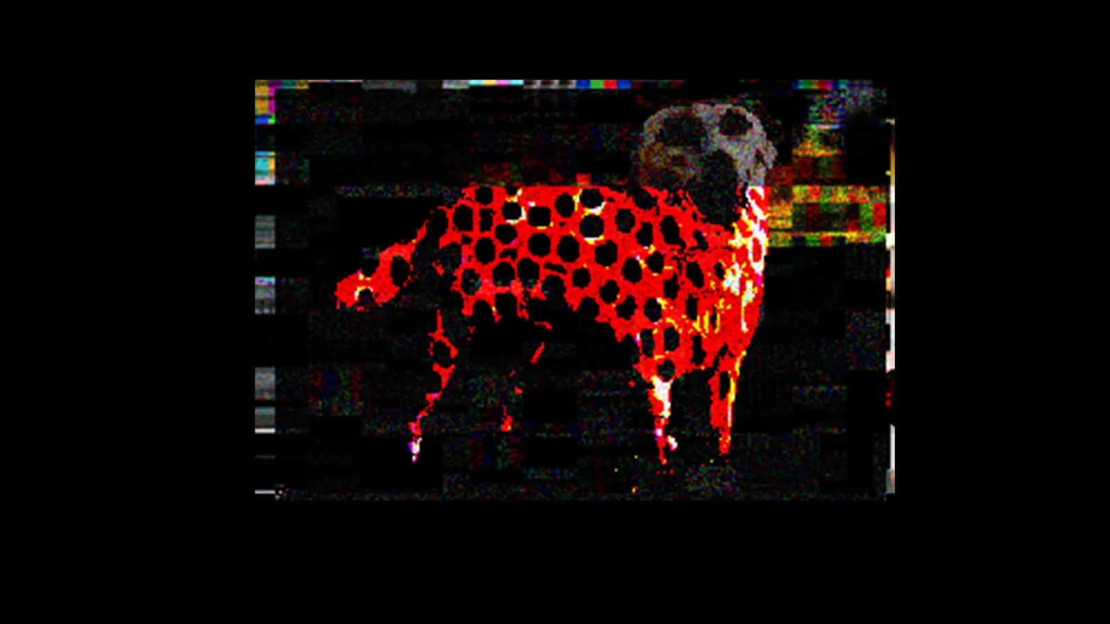 Dingir OS media 6