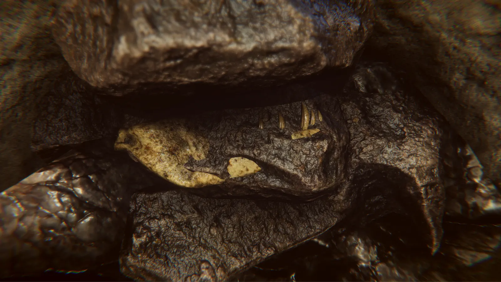 Dinosaur Fossil Hunter media 16
