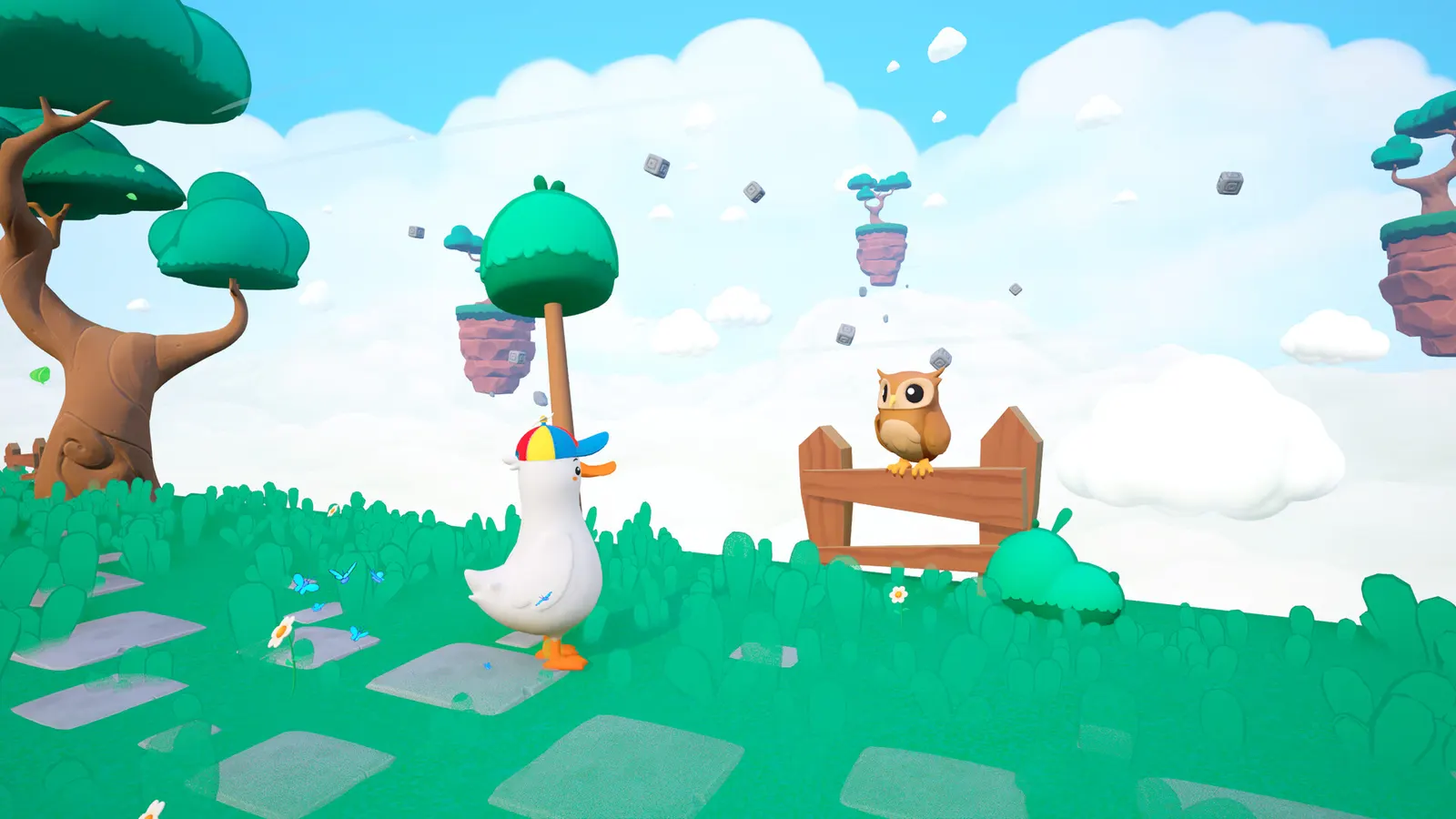 Dodo Duckie media 9
