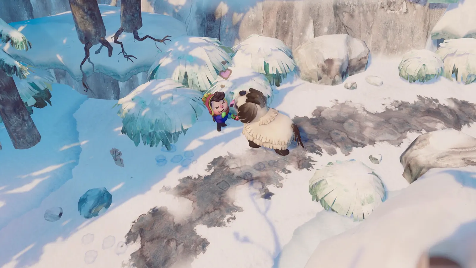 DOGWALK media 9