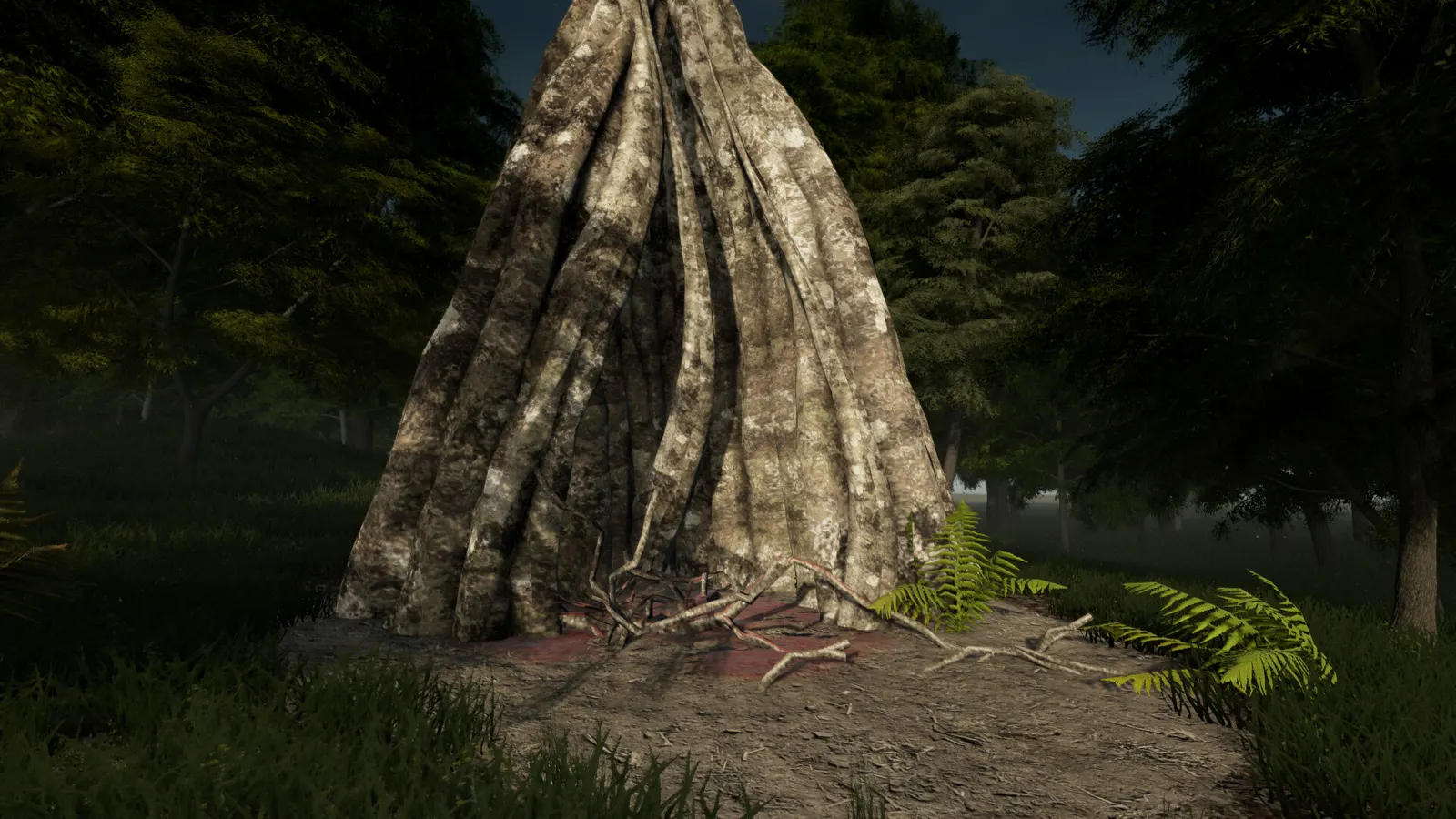 Dr. Emmerson's Nocturnes media 3