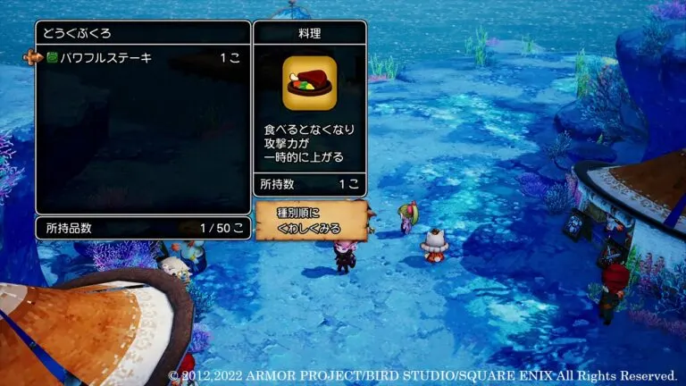 Dragon Quest X: Rise of the Five Tribes Offline media 4