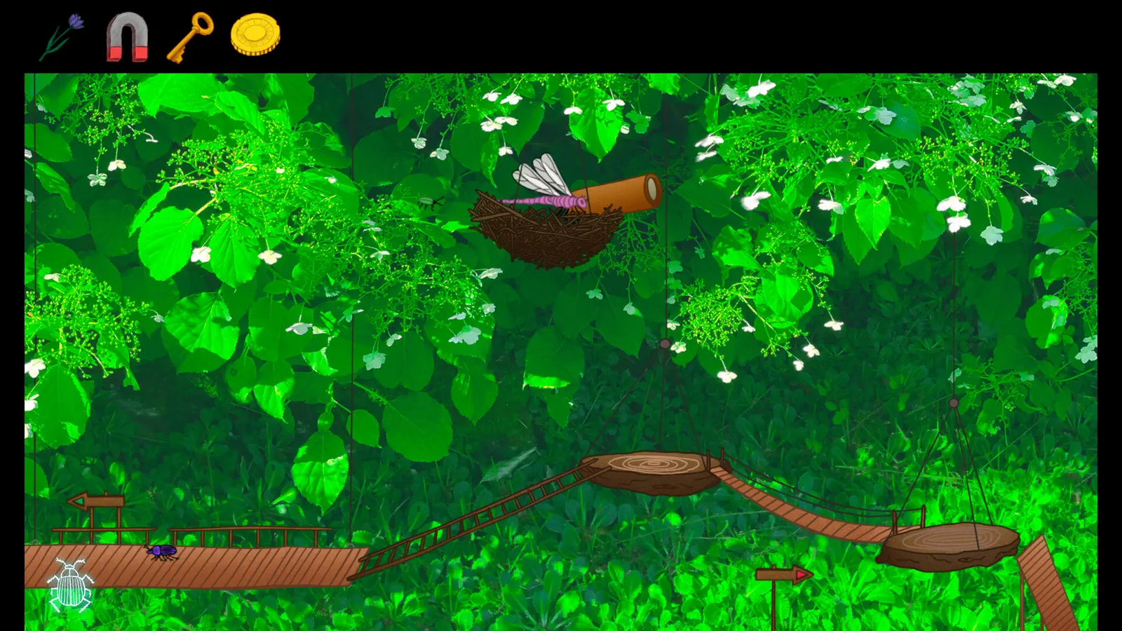 Dung Beetle Adventure media 8