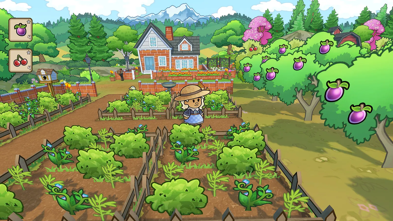 Echoes of the Plum Grove media 2