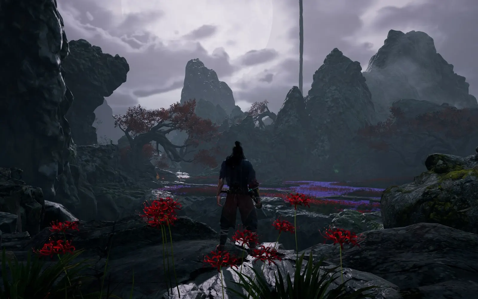Echoes of Yi : Samsara media 4