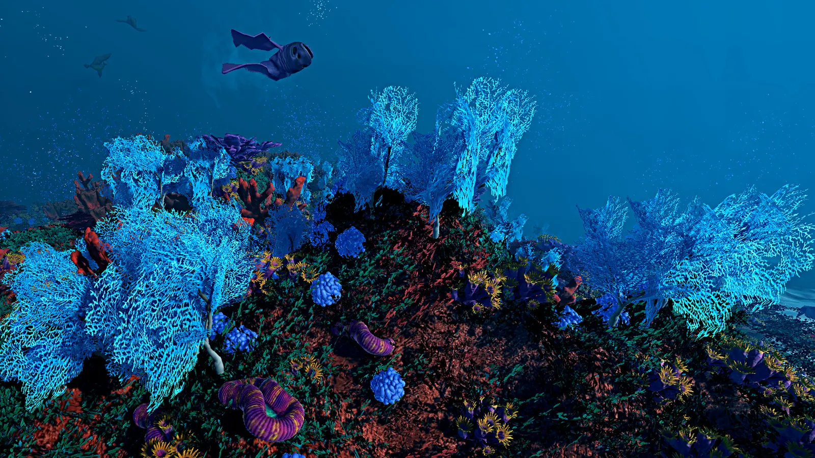 Ecosystem media 6