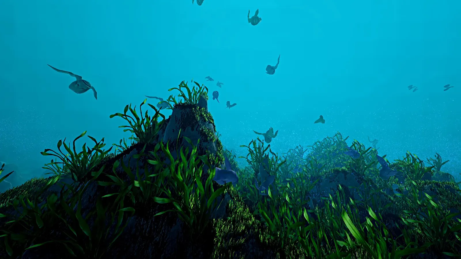 Ecosystem media 10