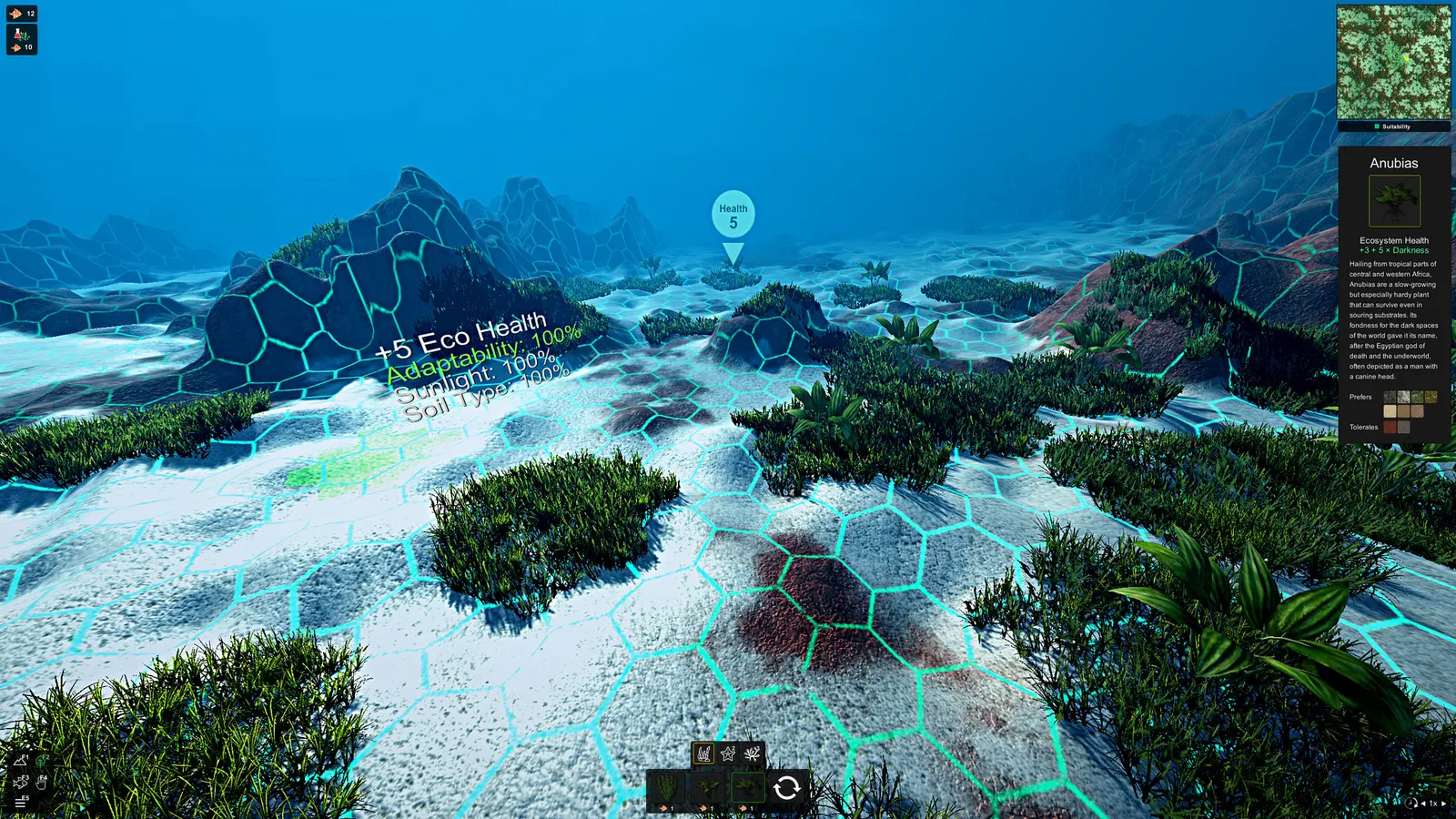 Ecosystem media 13
