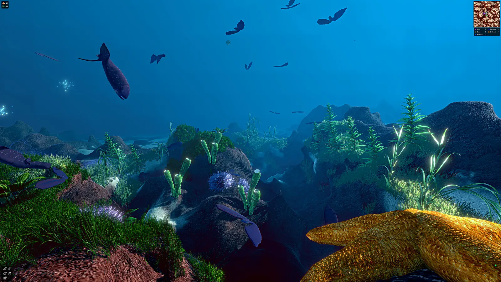Ecosystem media 14