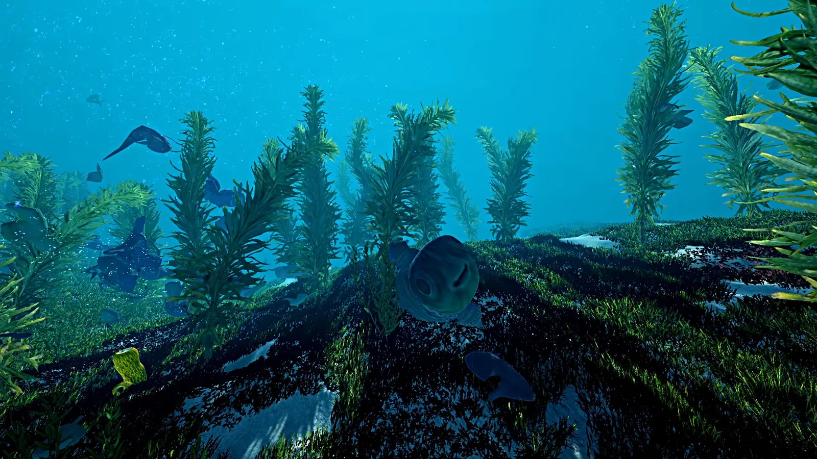 Ecosystem media 14