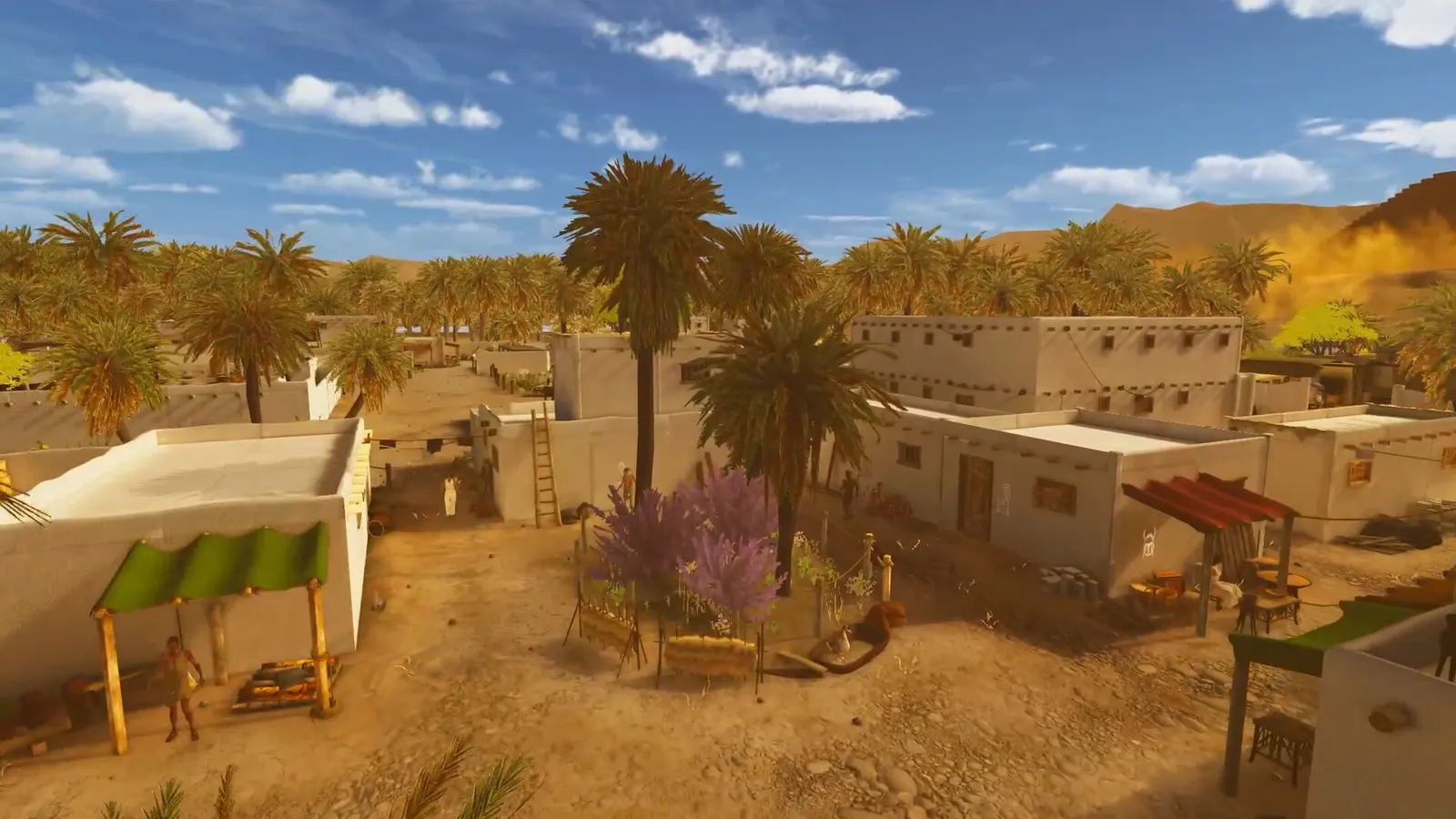 Egypt Frontiers media 6