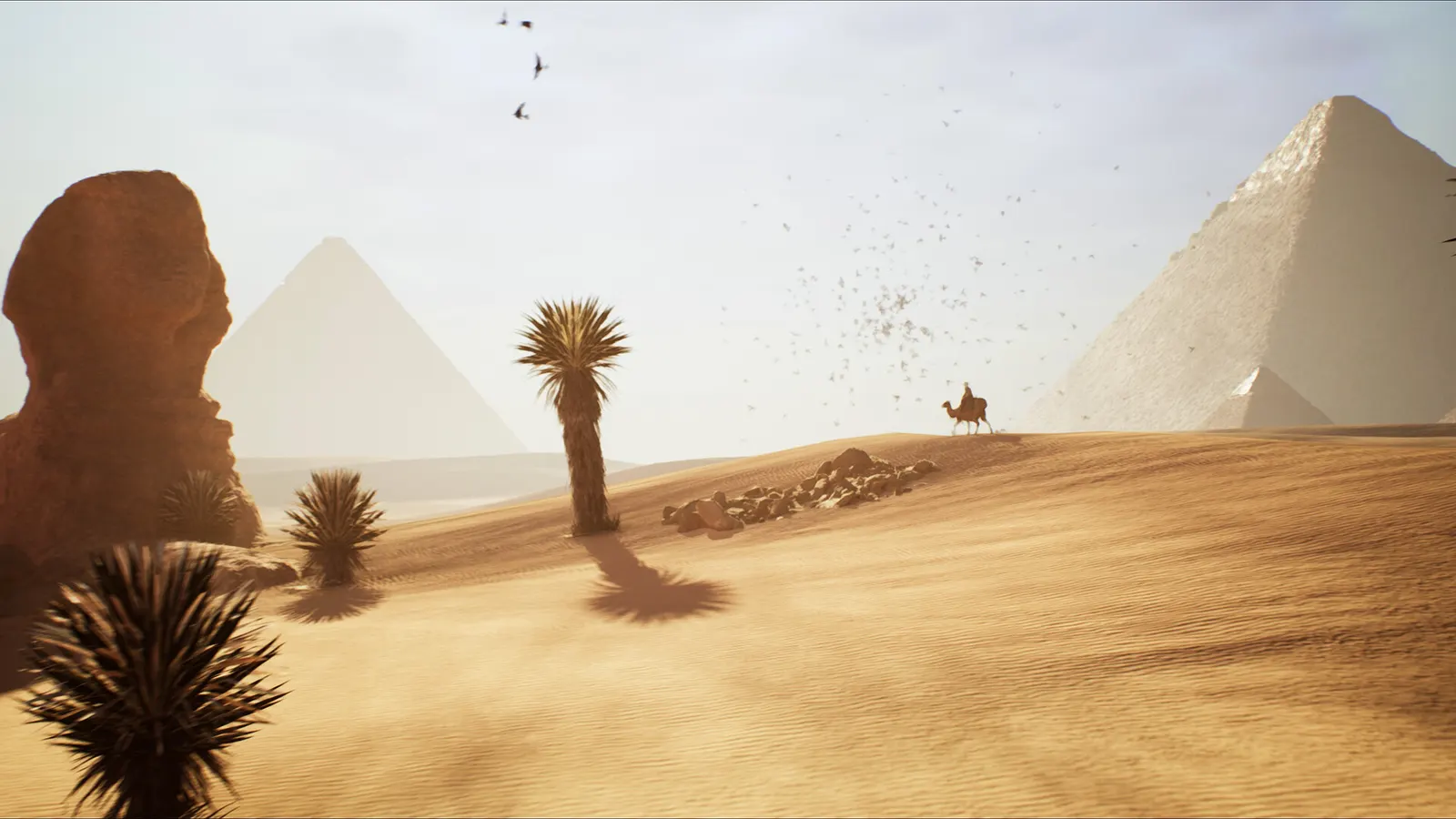 Egypt Frontiers media 16