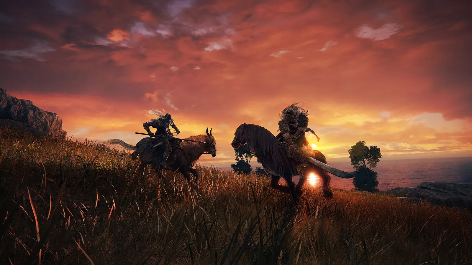 ELDEN RING media 12