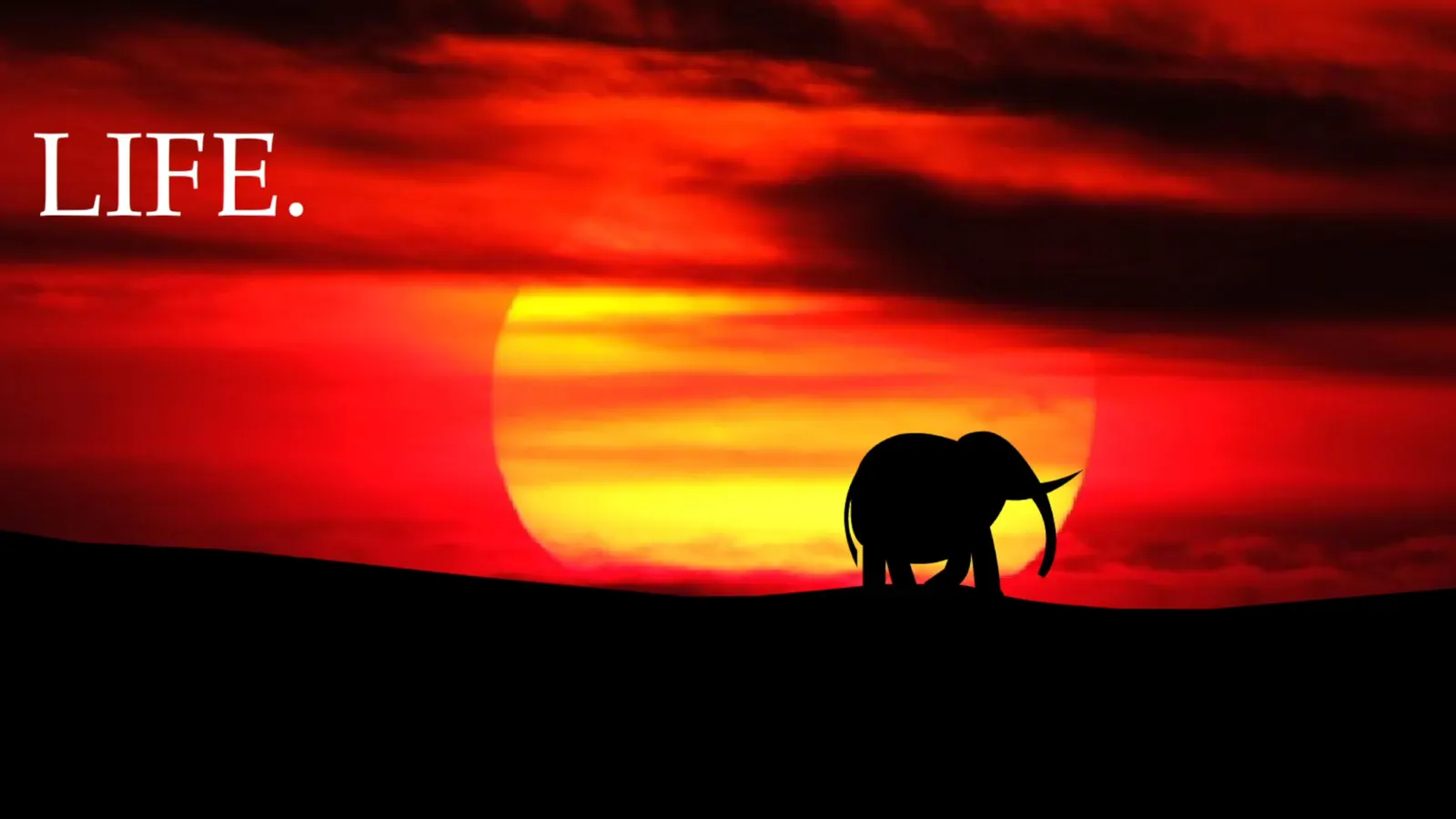 Elephant Rave 2 media 9