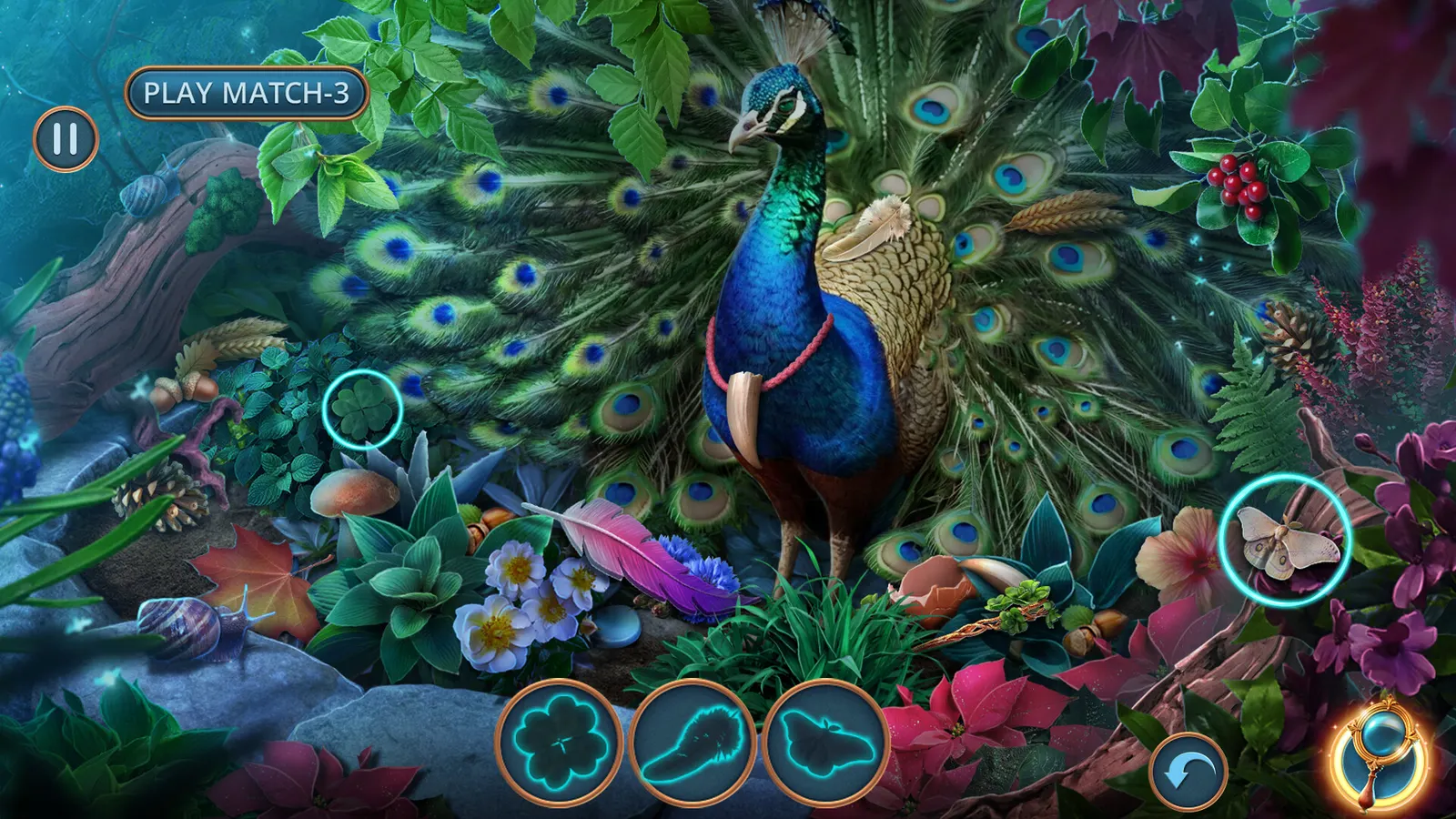 Enchanted Stories: Mystic Woods Collector's Edition media 4