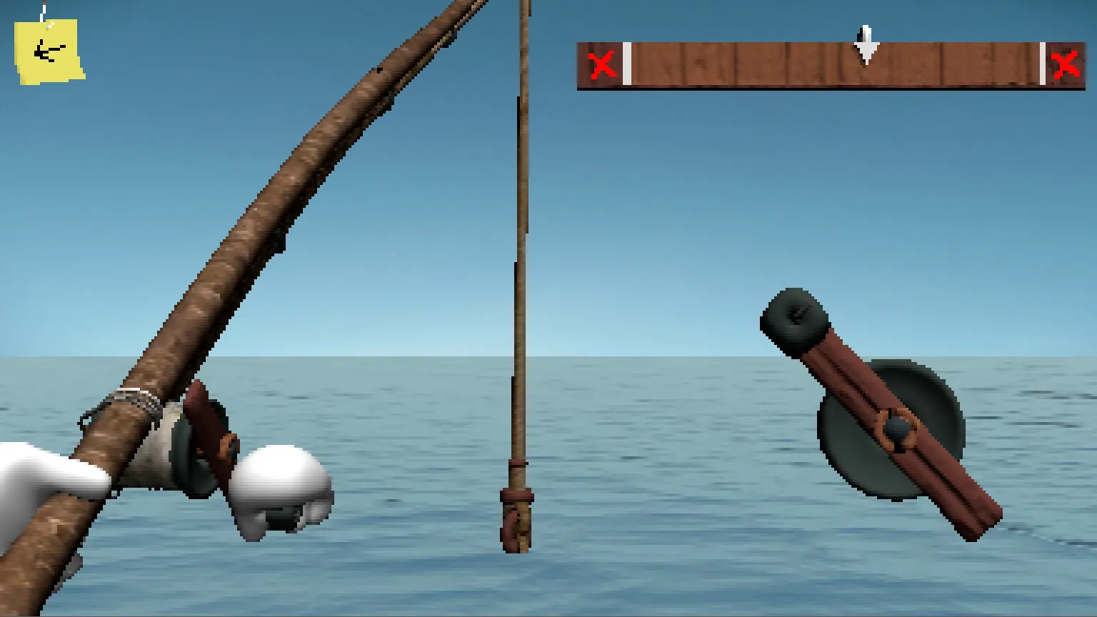 Endacopia media 6