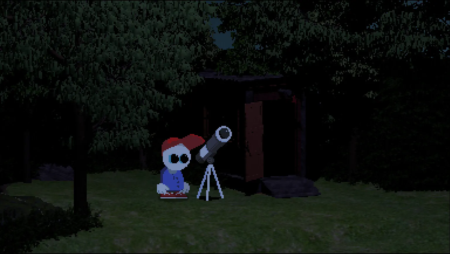 Endacopia media 11