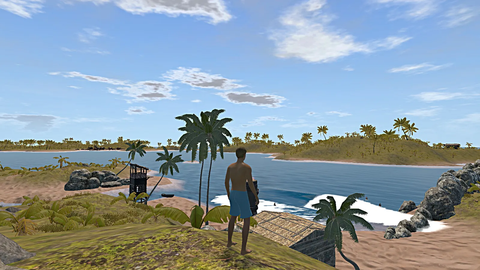 The Endless Summer - Search For Surf media 4