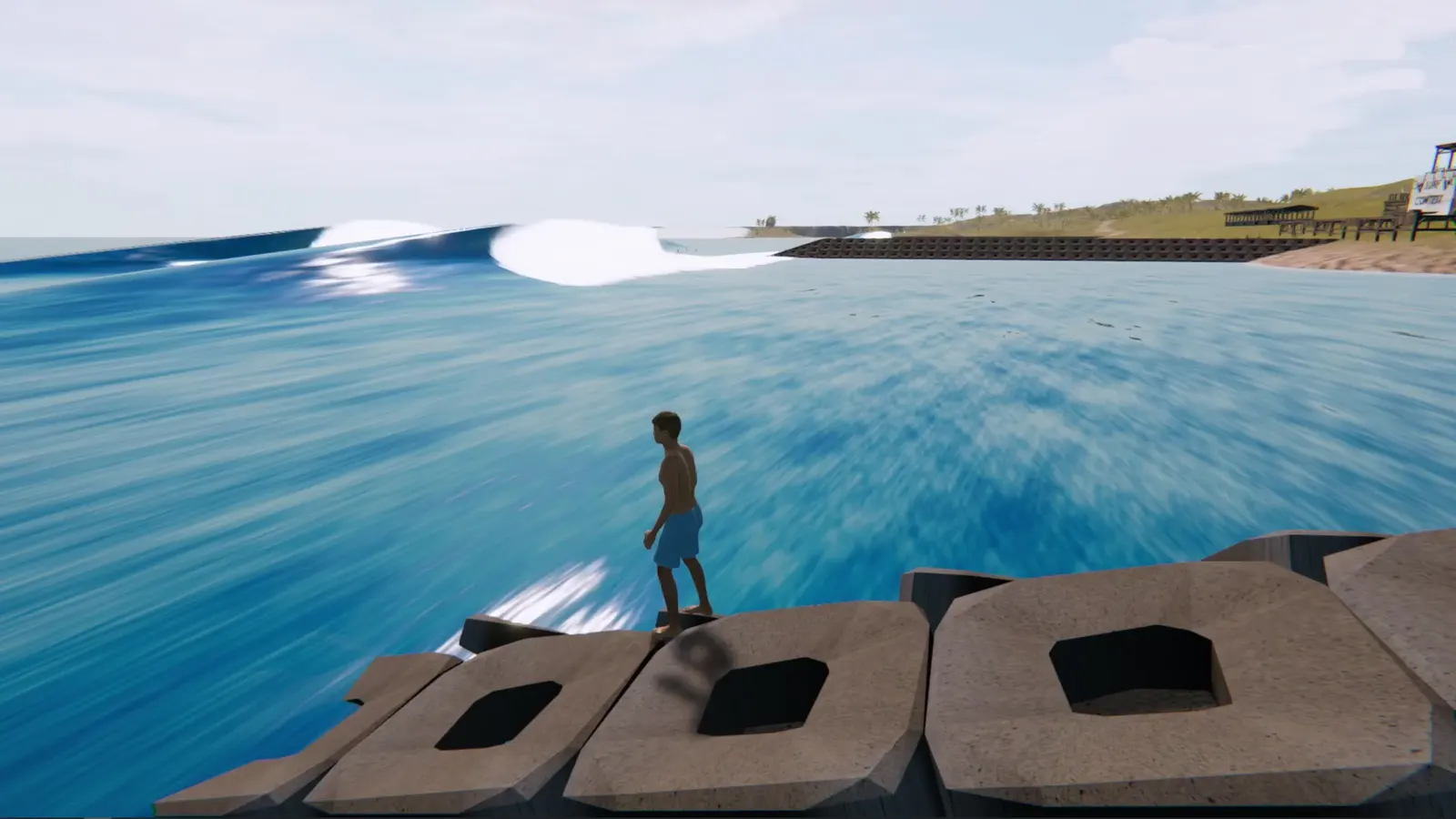 The Endless Summer - Search For Surf media 8