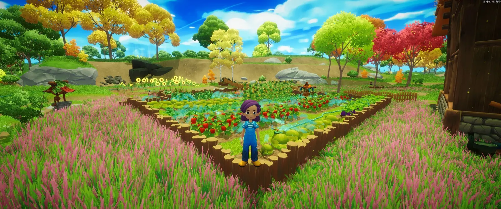 Everdream Valley media 9