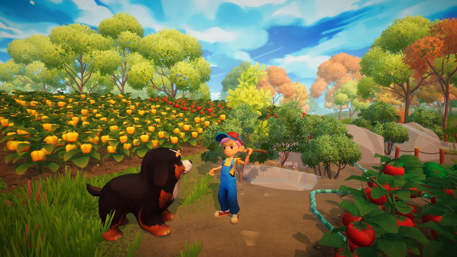 Everdream Valley media 10