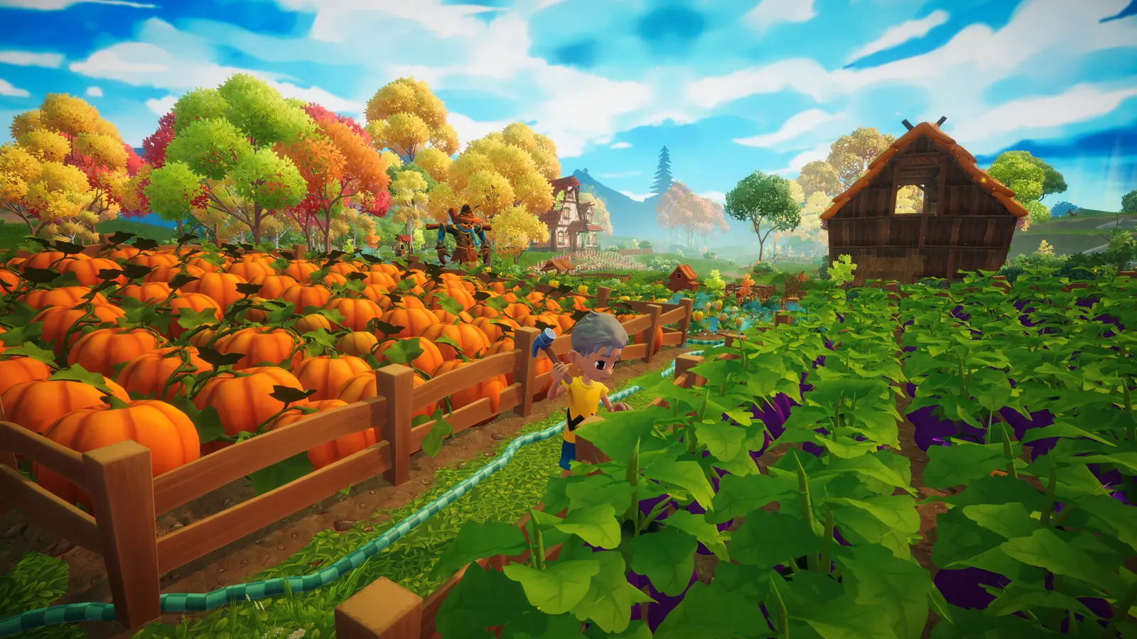 Everdream Valley media 16