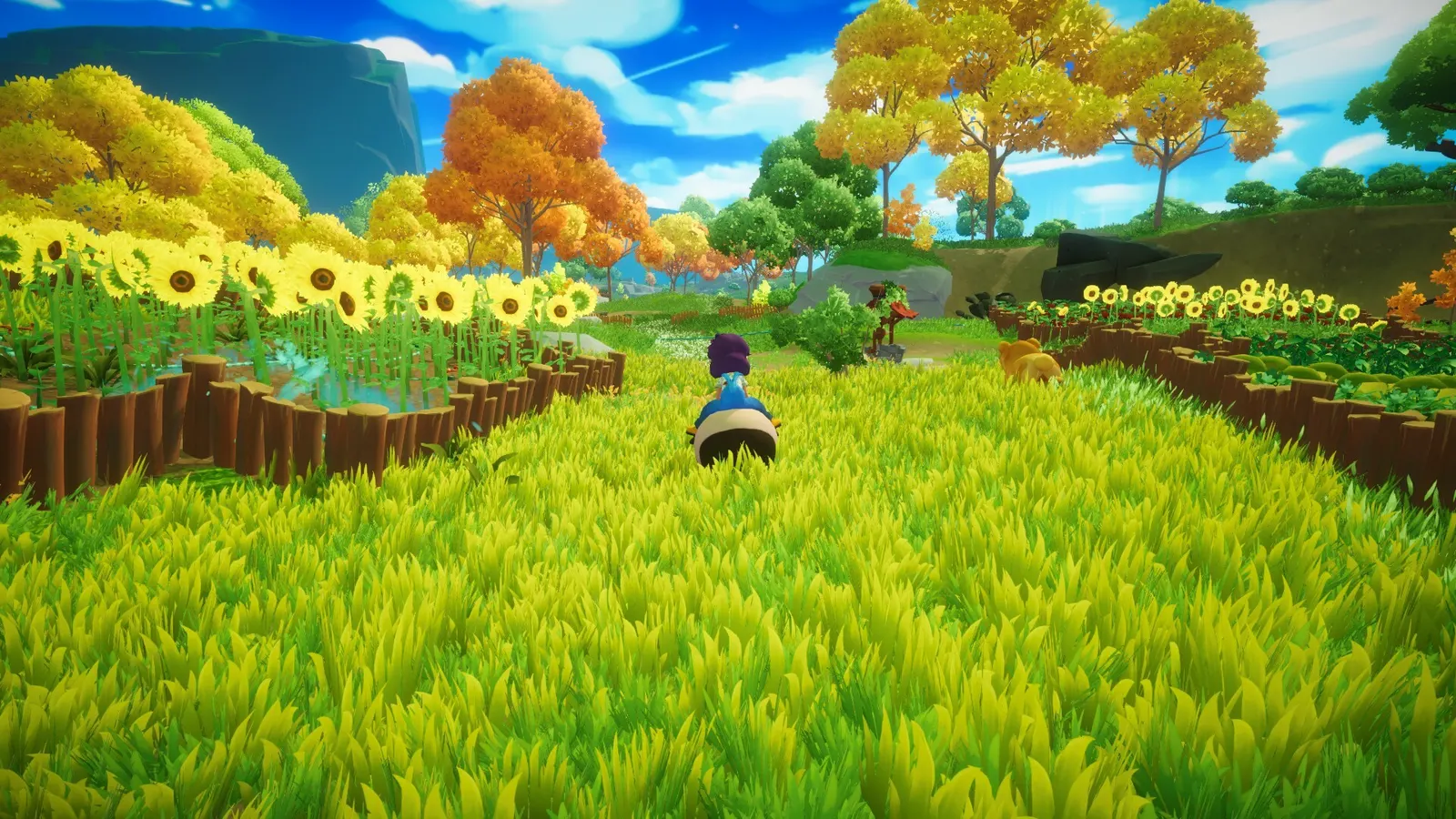 Everdream Valley media 13