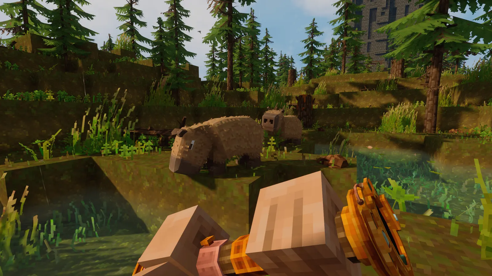 Everwind media 11