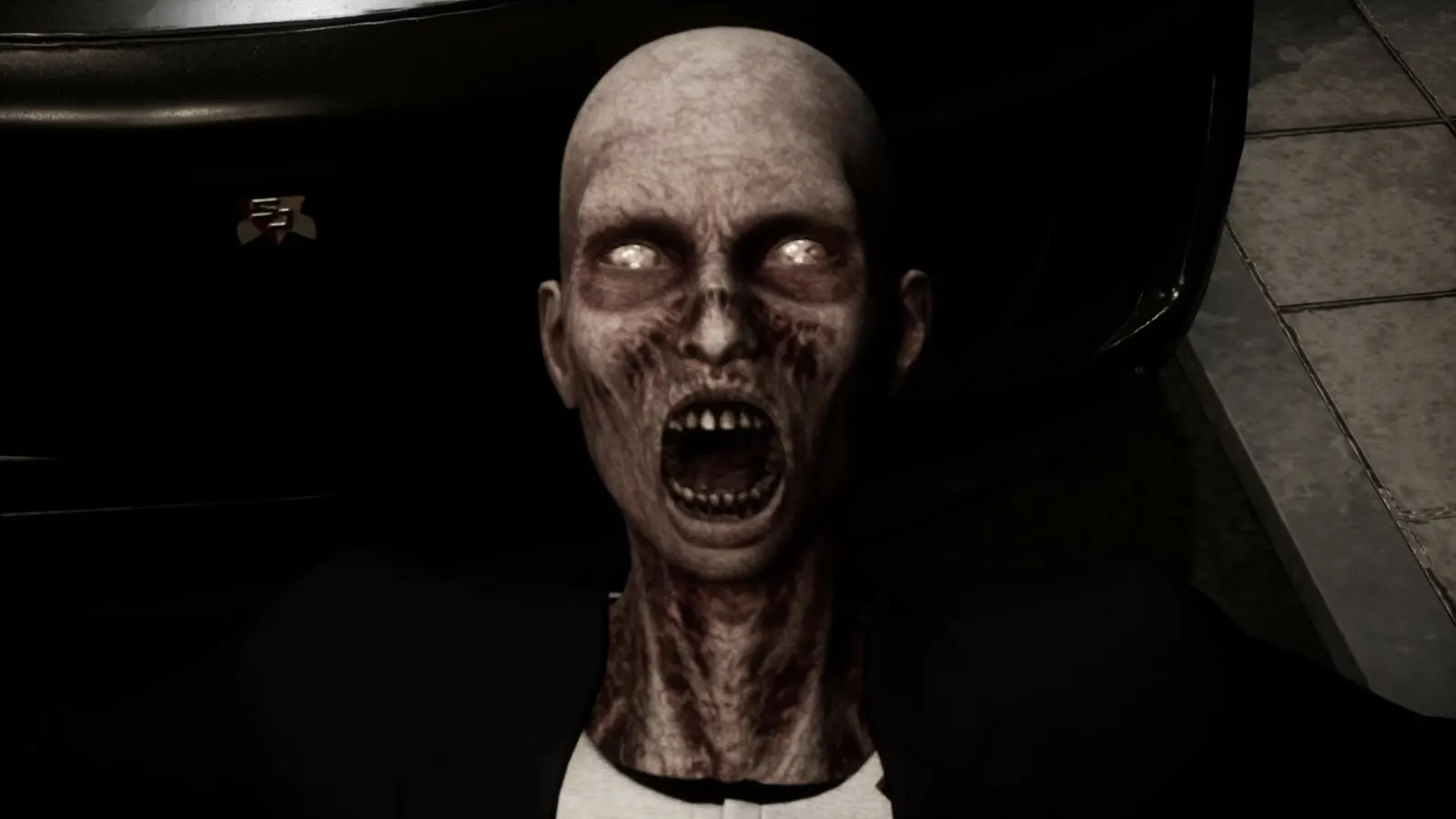 Evil Seal media 5