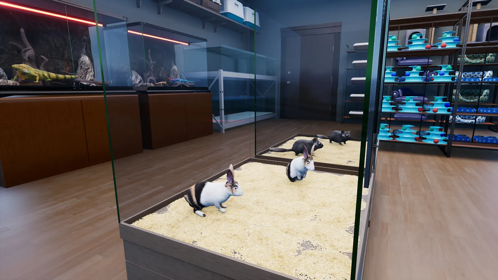 Exotica 2: Pet Shop Simulator media 4