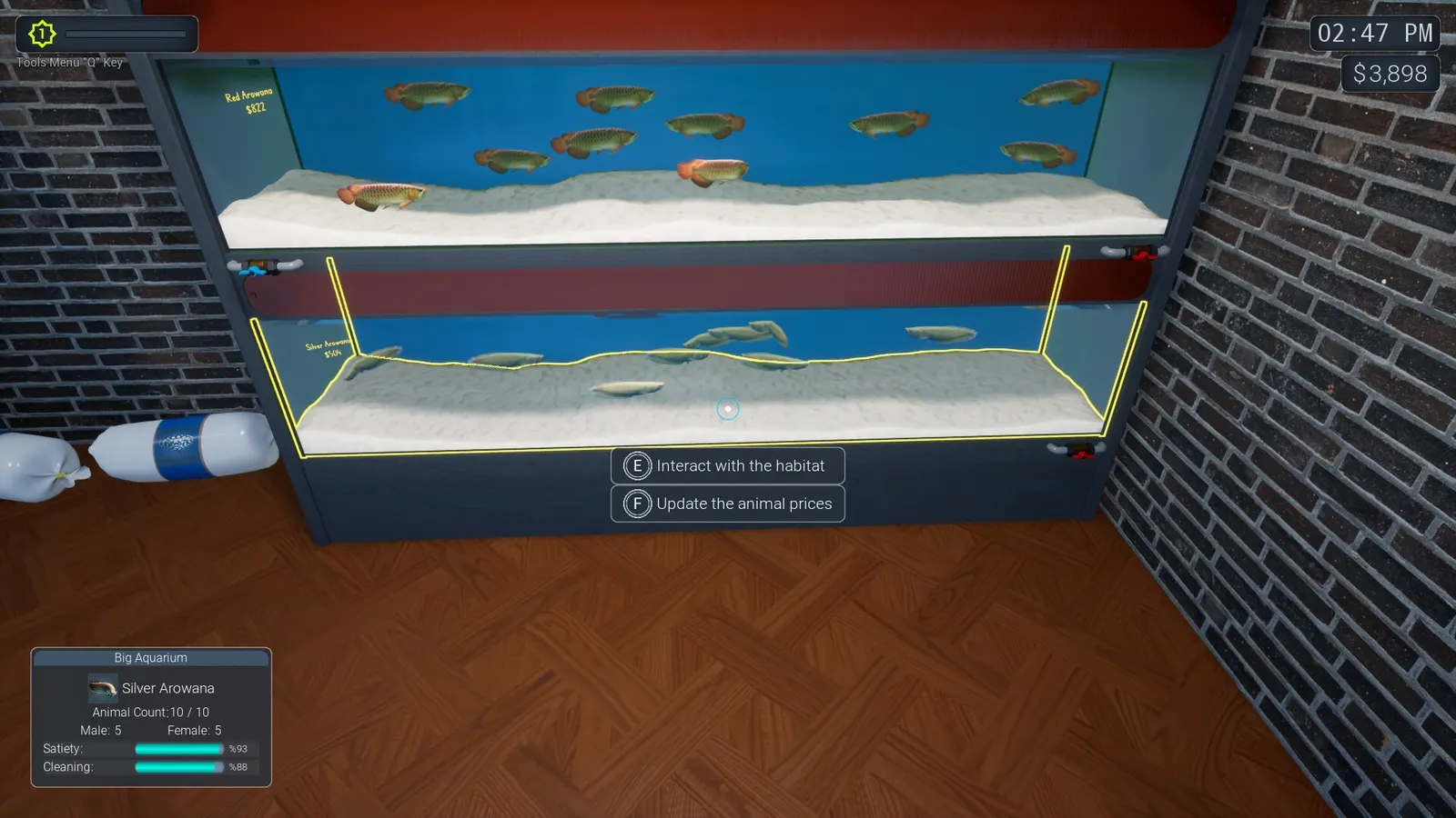 Exotica 2: Pet Shop Simulator media 11
