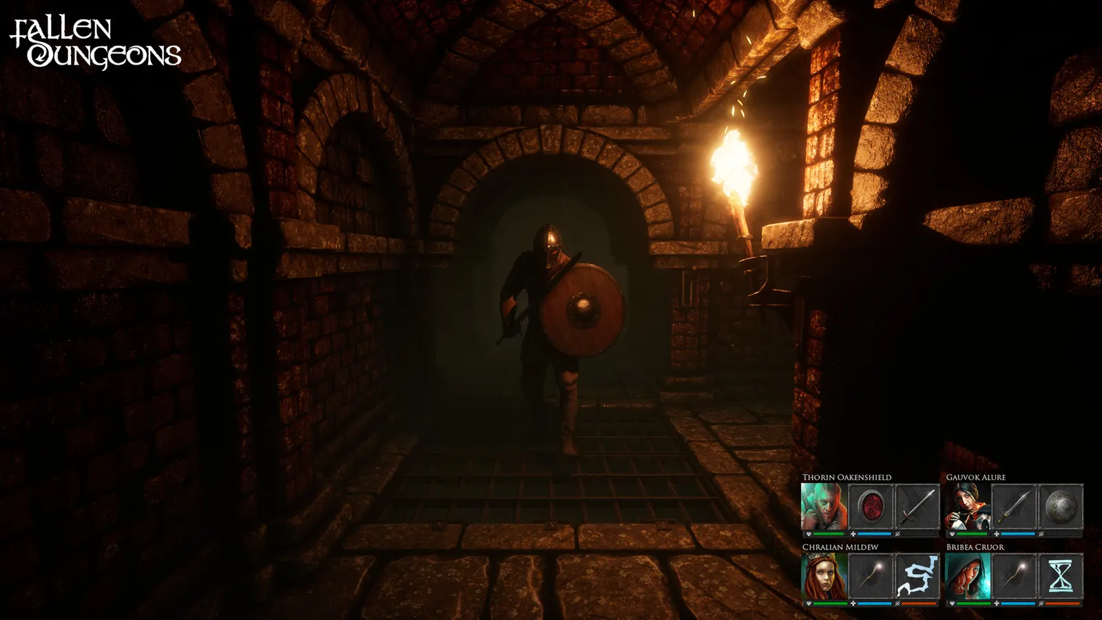 Fallen Dungeons media 4