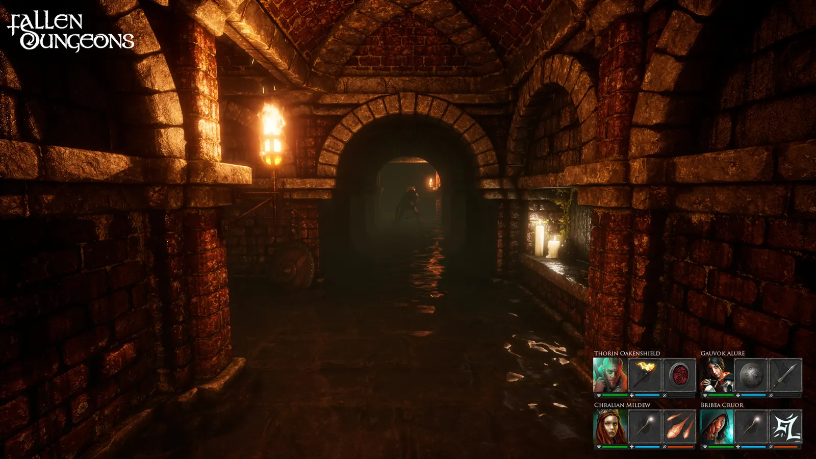 Fallen Dungeons media 8