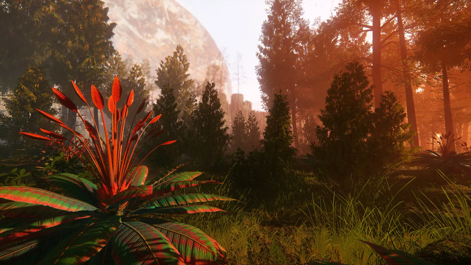 Far Horizon media 2