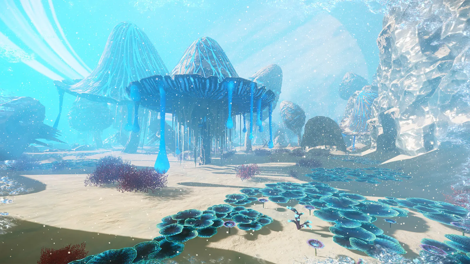 Far Horizon media 3
