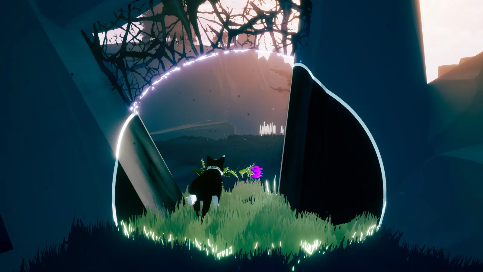 Farewell North media 6