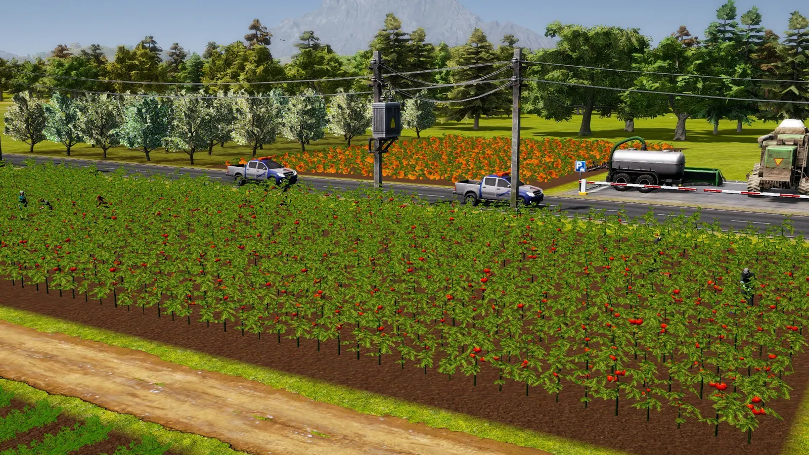 Farm Manager 2021 media 21