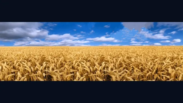 Farming Simulator 2009