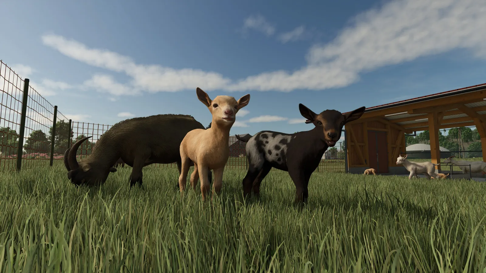 Farming Simulator 25 media 3