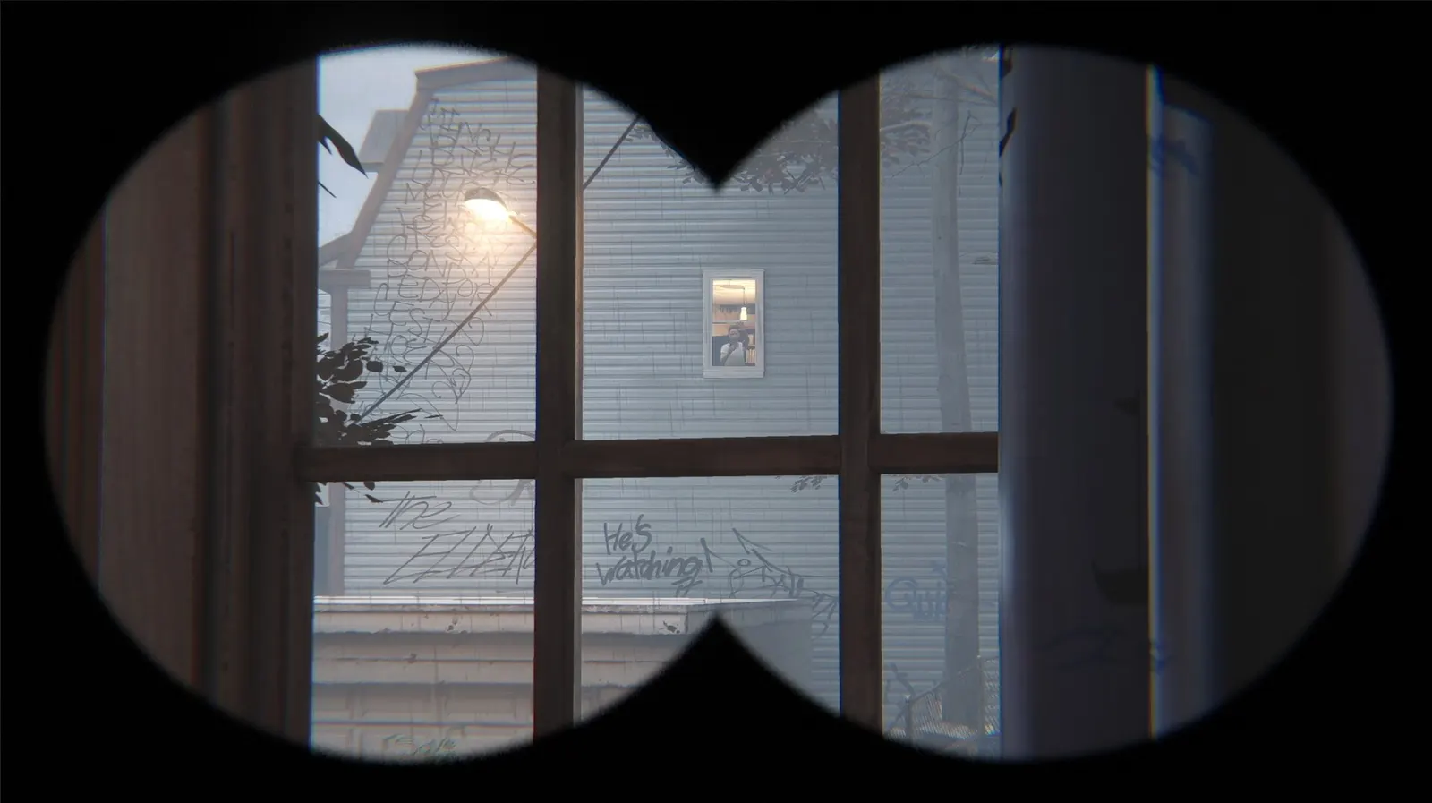 Farsight media 12