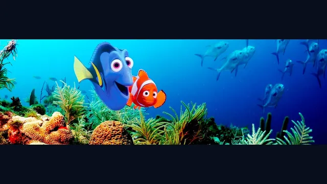 Finding Nemo: Learning with Nemo